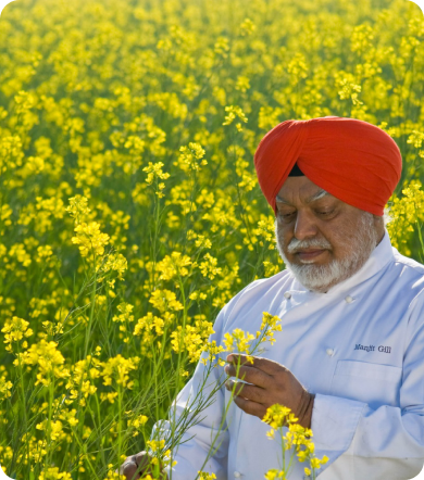 Chef Manjit S Gill